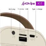 اسپیکر بلوتوث میکروفن دار KARAOKA K12