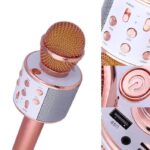 میکروفون اسپیکر باطری بزرگ مدل WS-858