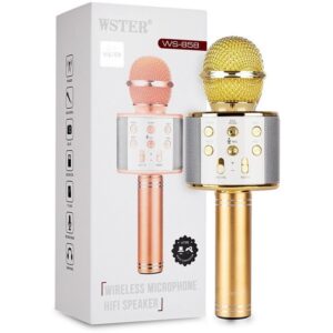 میکروفون اسپیکر باطری بزرگ مدل WS-858
