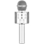 میکروفون اسپیکر باطری بزرگ مدل WS-858